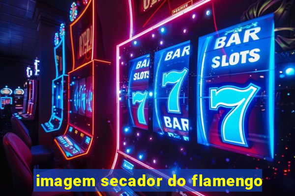 imagem secador do flamengo